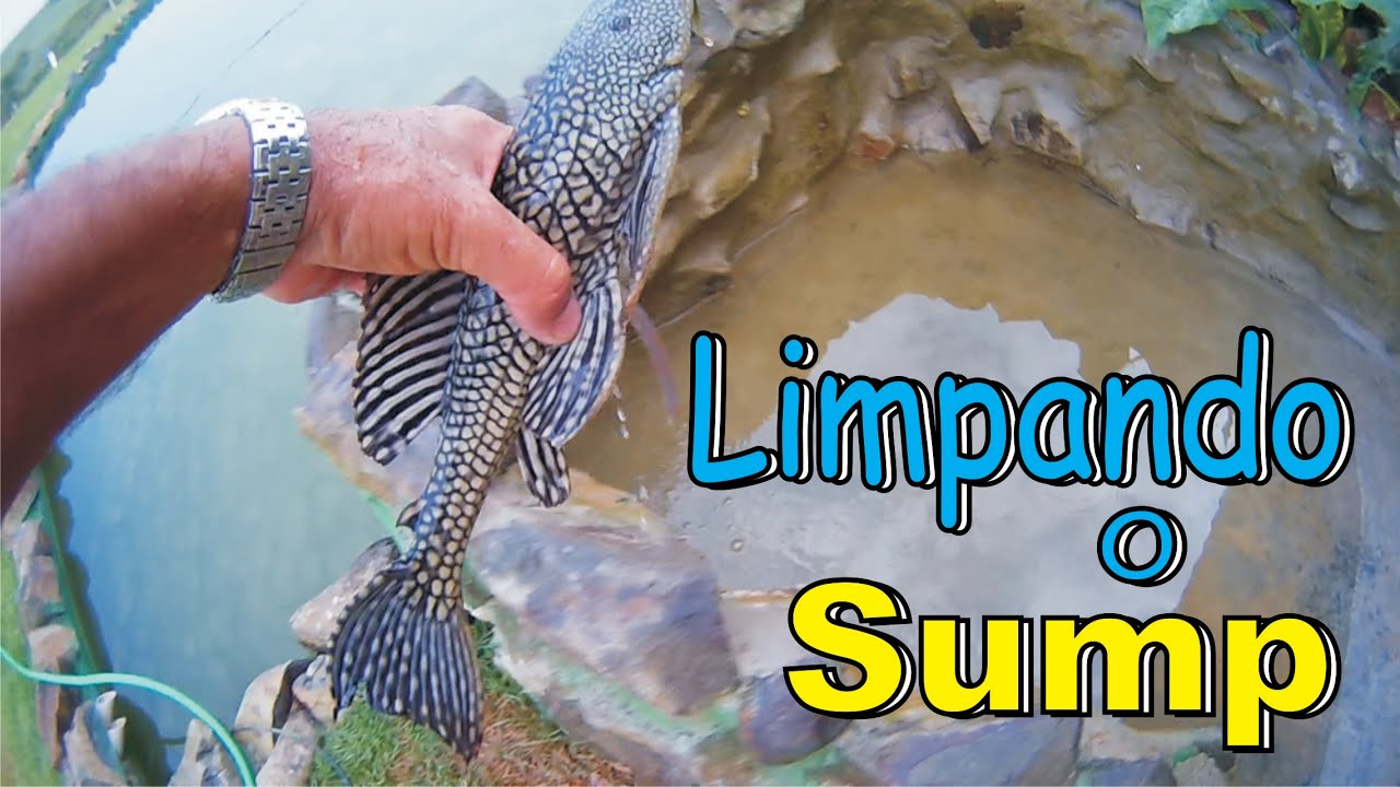 LIMPANDO O SUMP E MOSTRANDO FUNCIONALIDADE