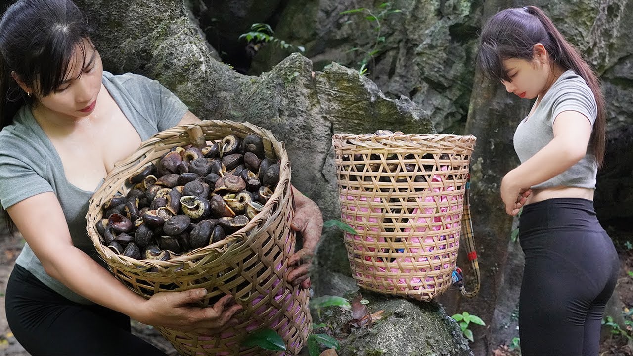 adventure in the forest. How to find and harvest stone snails, triệu lily