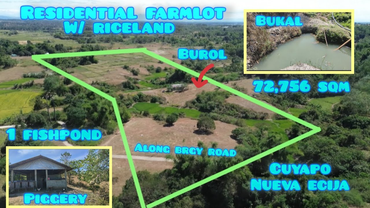 Lot#762 Residential farm w/ bukal, burol,1 fishpond,building for pig, riceland, along brgy road