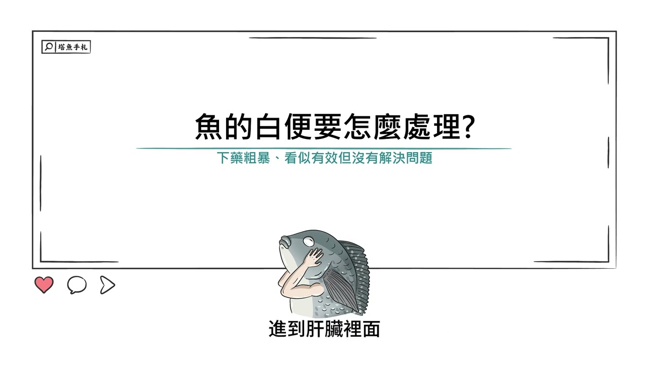 [水族大大不要聽]Ep44魚為什麼會白便?是體內蟲嗎?該怎麼處理會比較好呢?