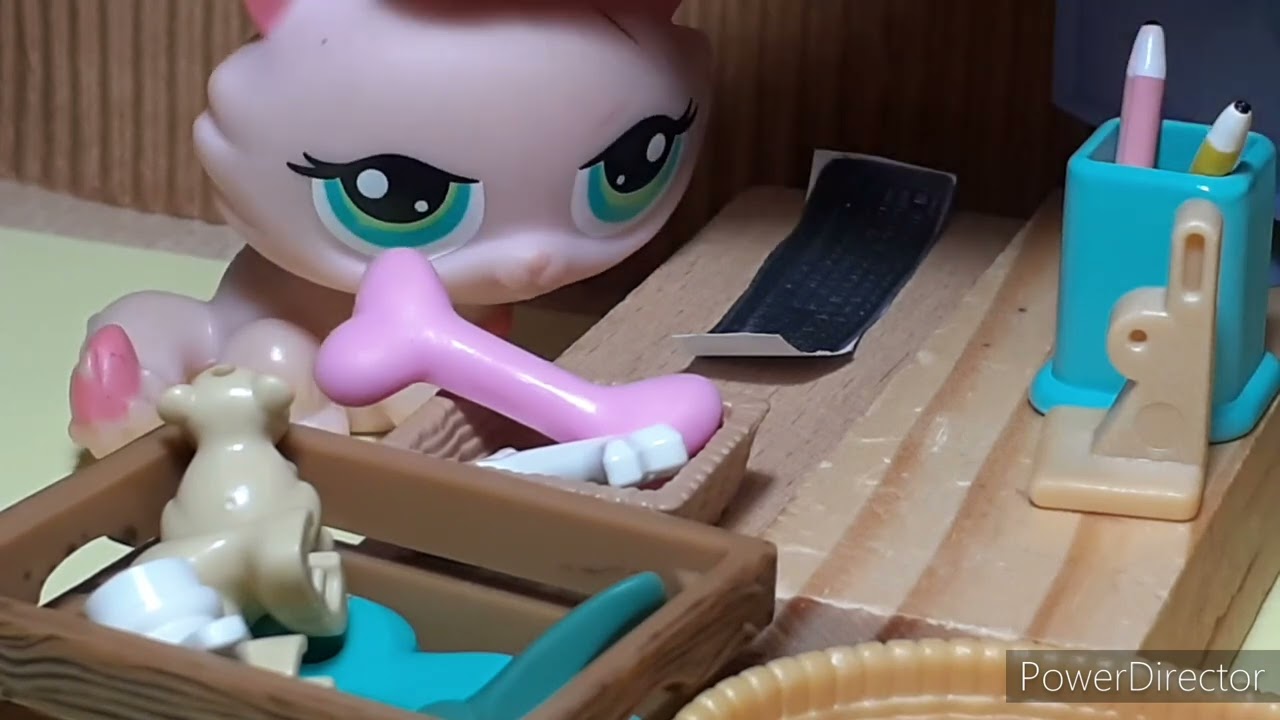 lps útulek 2#