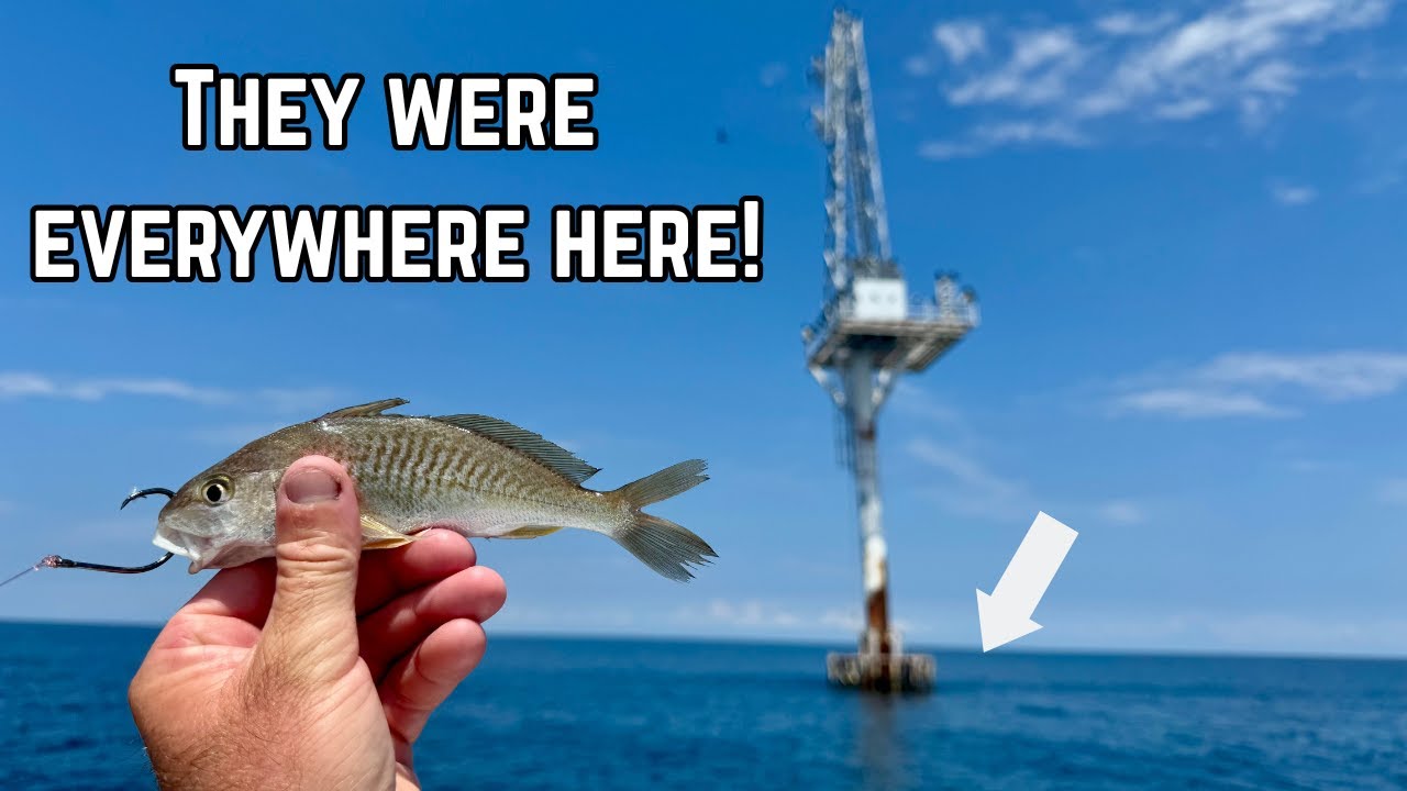 Dropping Baits Around Offshore Rigs To Catch The Smartest And Tastiest Fish In The Gulf!