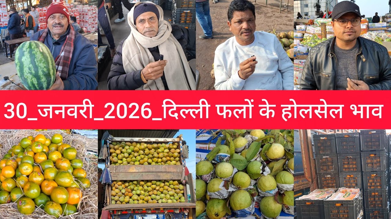 30 January 2026 दिल्ली फलों के भाव Delhi fruit market price APMC fruit market price #fruitmarket