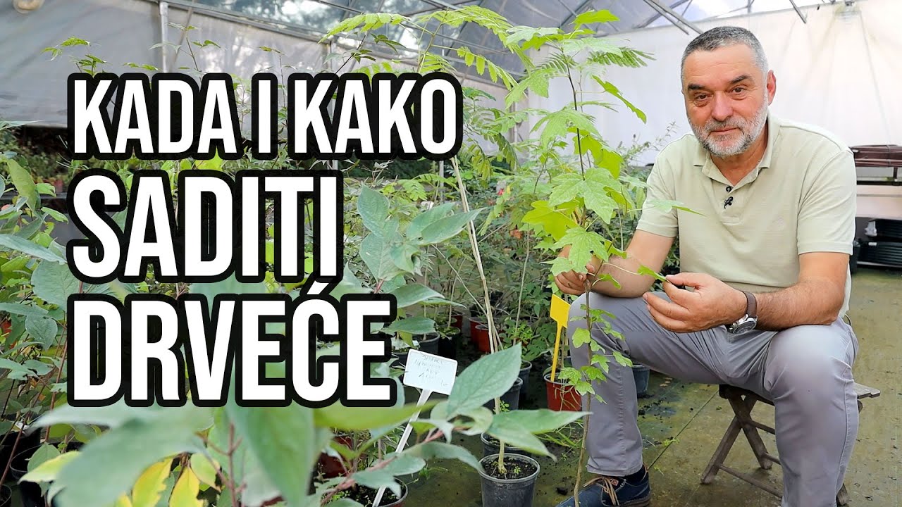 Kada i kako SADITI DRVEĆE
