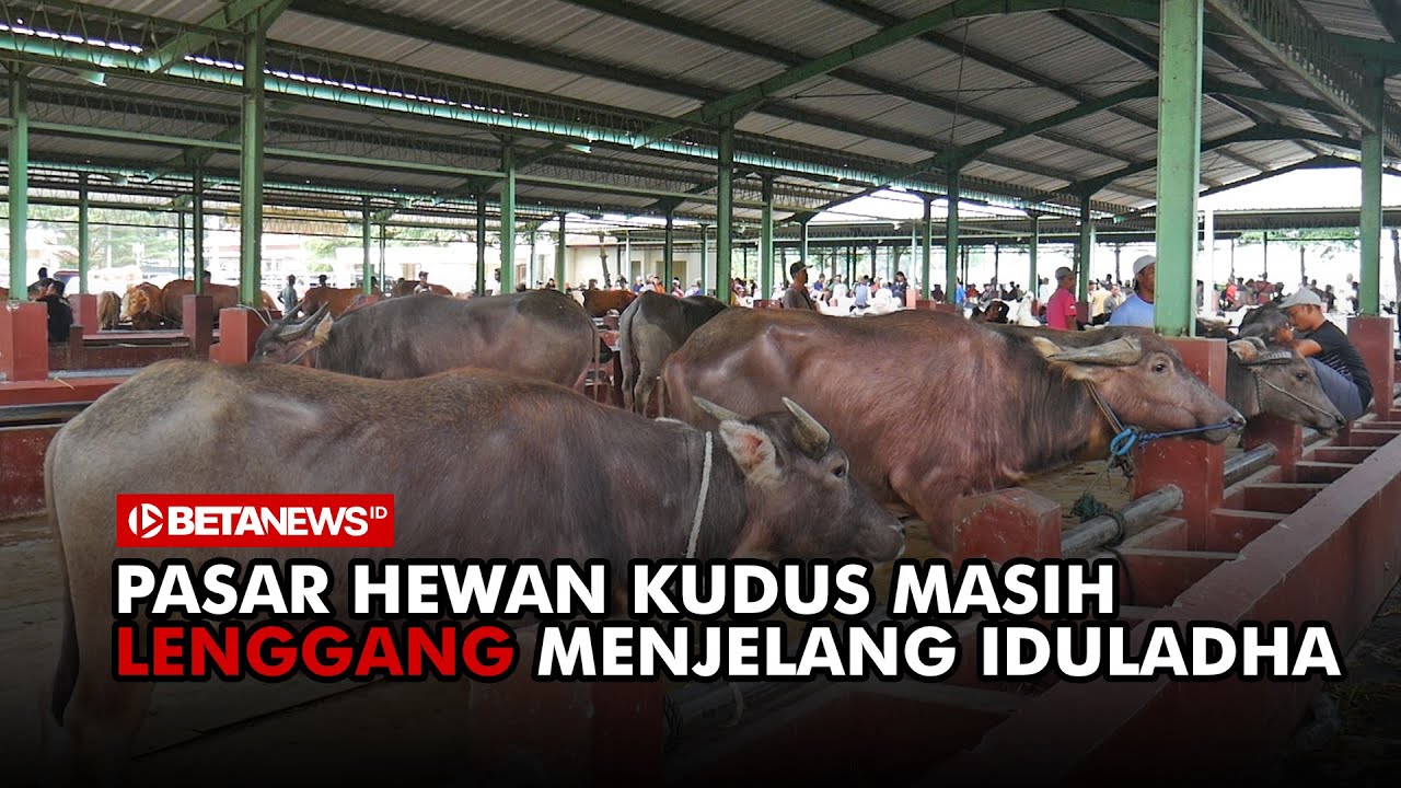 Pasar Hewan Kudus Masih Lenggang Menjelang Iduladha