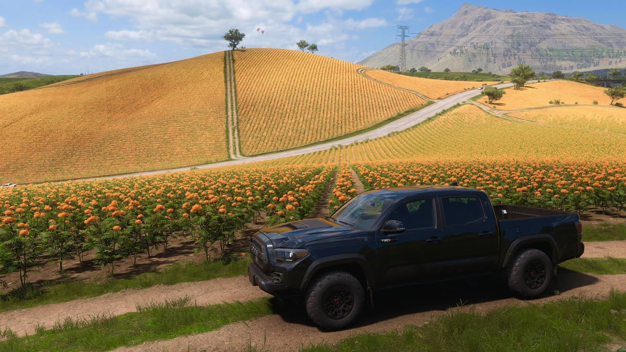 Forza Horizon 5 - Toyota Tacoma TRD Pro ‘19