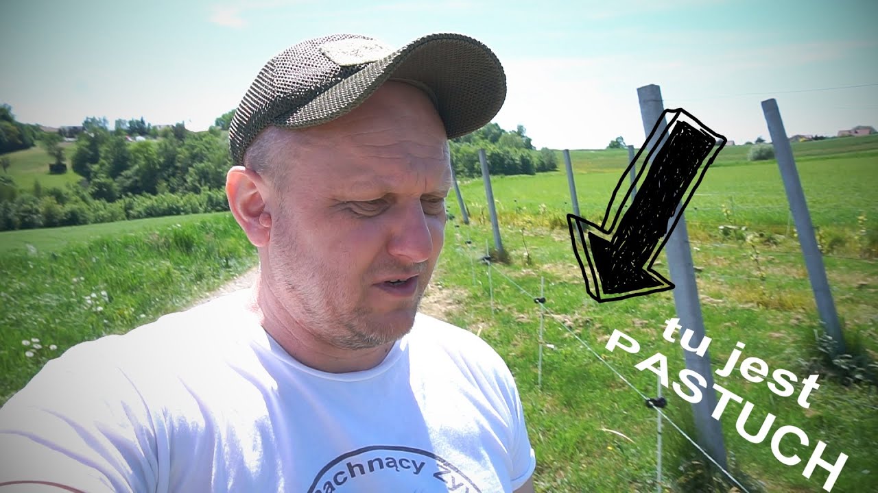 pastuch na WINNICY taki elektryczny :)