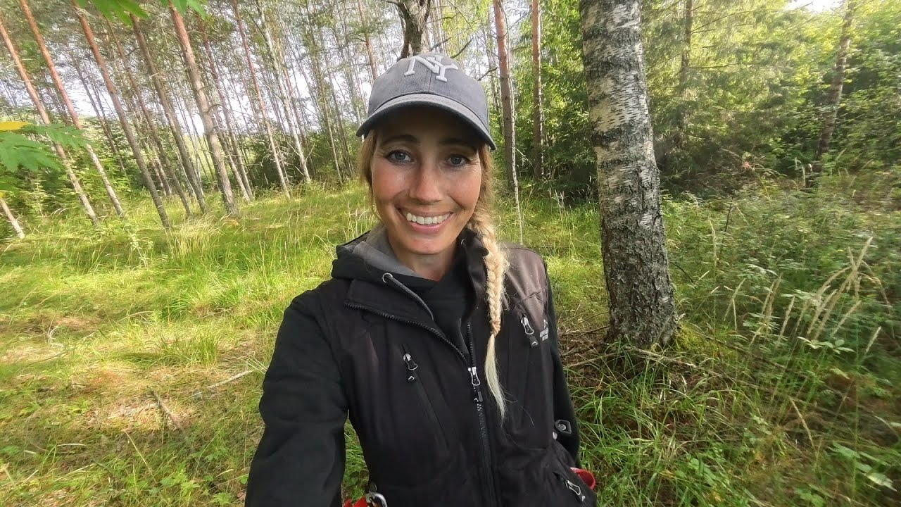 Blodspor med plott hunden Spetakkel og revunger