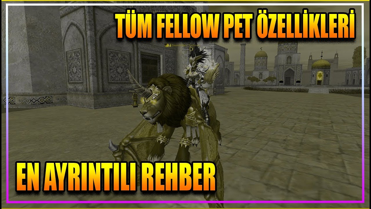 FELLOW PETLERİN TÜM ÖZELLİKLERİ | SİLKROAD ONLİNE TÜRKİYE