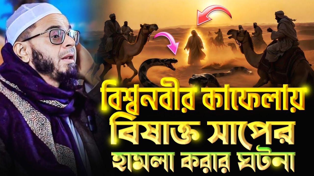 বিশ্ব নবীর কাফেলায় সর্পহামলার ঘটনা। এই সেই ভাইরাল ওয়াজ। মুফতি নাসির উদ্দীন আনসারী।  AL HIDAYAH 