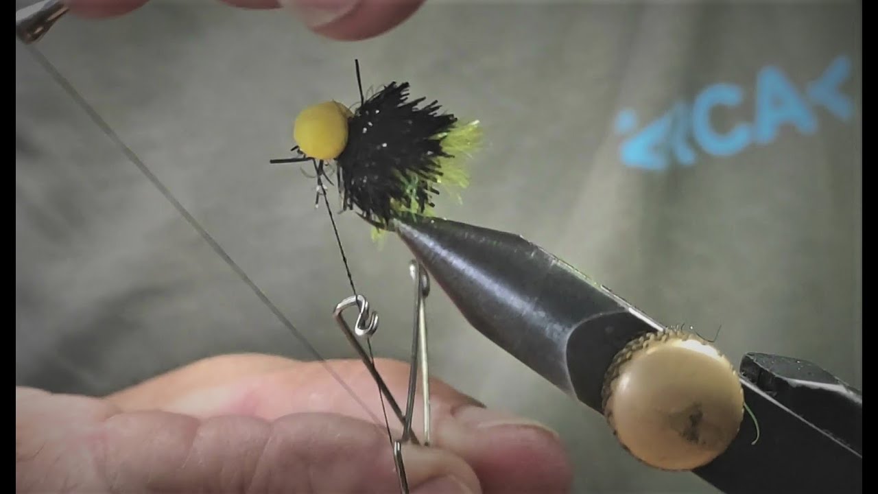 Booby Blob, dos tonos,  Negro Amarillo