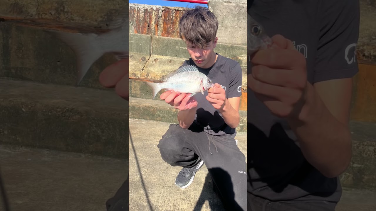 Sea fishing Brighton marina east and west walls #fishing #2025 #seafishing #bassfishing #mackerel