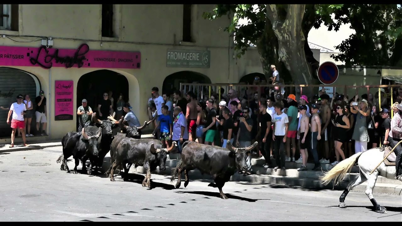 La fête votive de Calvisson 2022