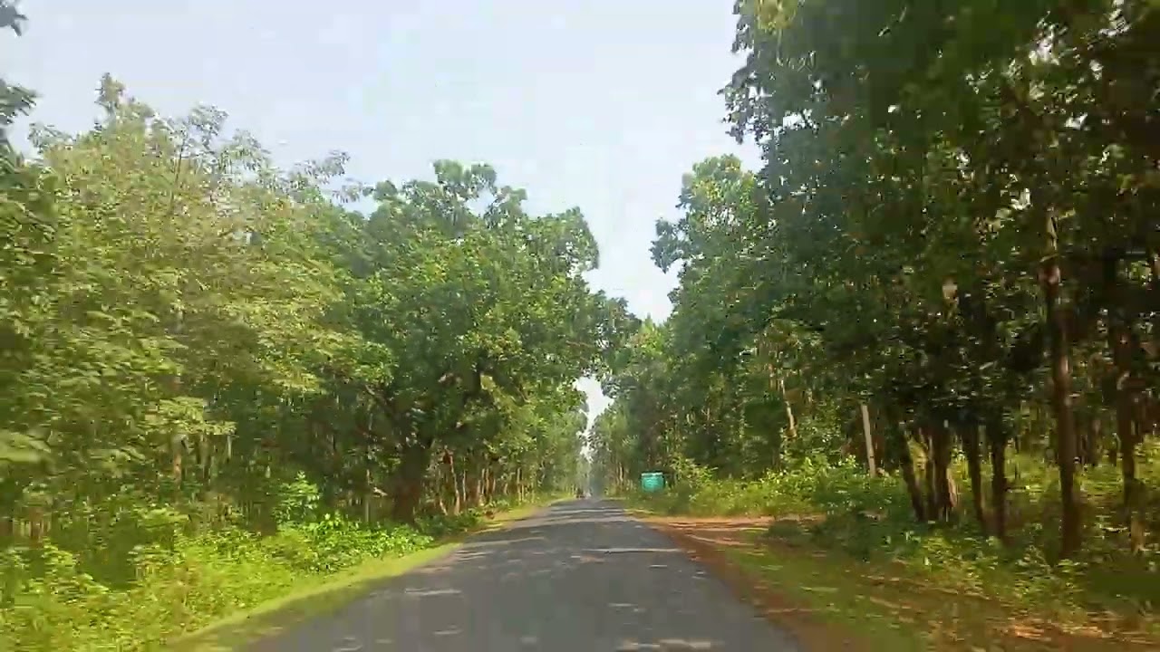 পলাশবনীর জঙ্গল পার করছি