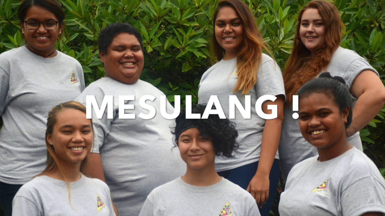 PICRC Summer Internship 2018