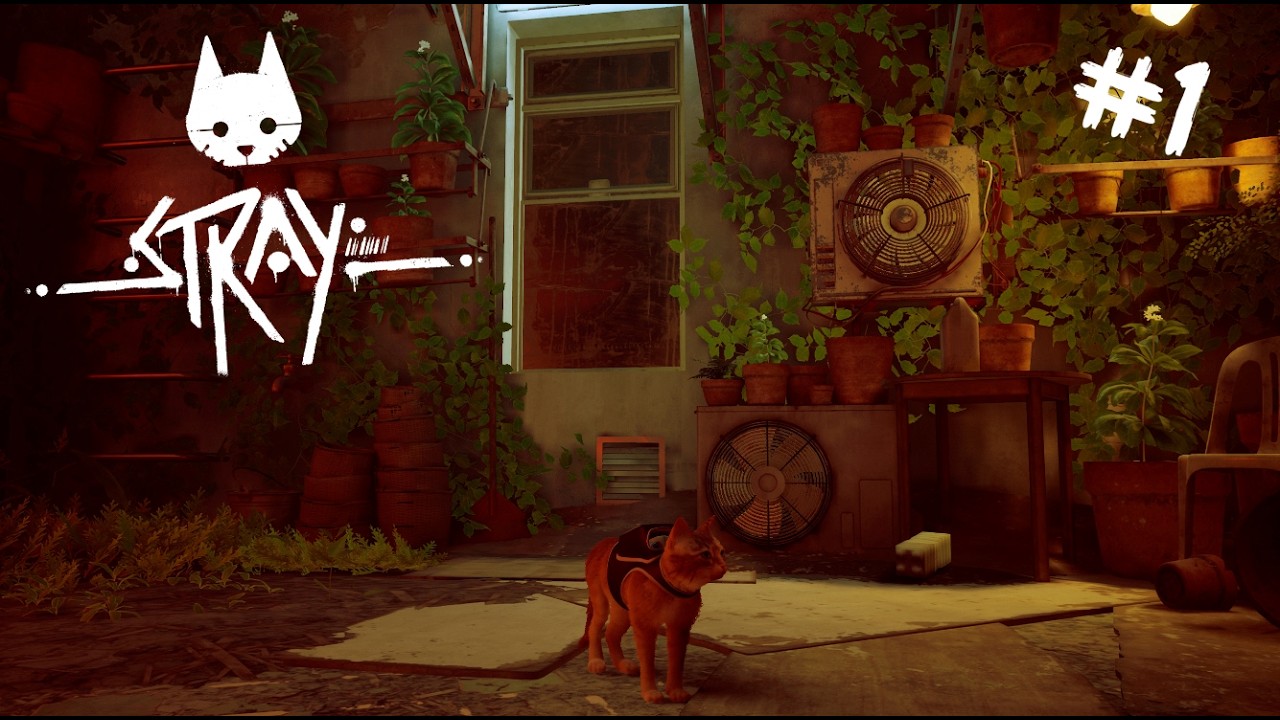 Stray #1 Начало