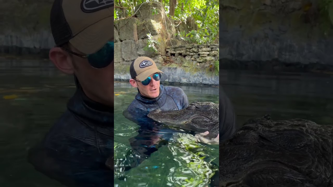 Casper&rsquo;s gun show! 💪 At Everglades Outpost, come do a tour with us!