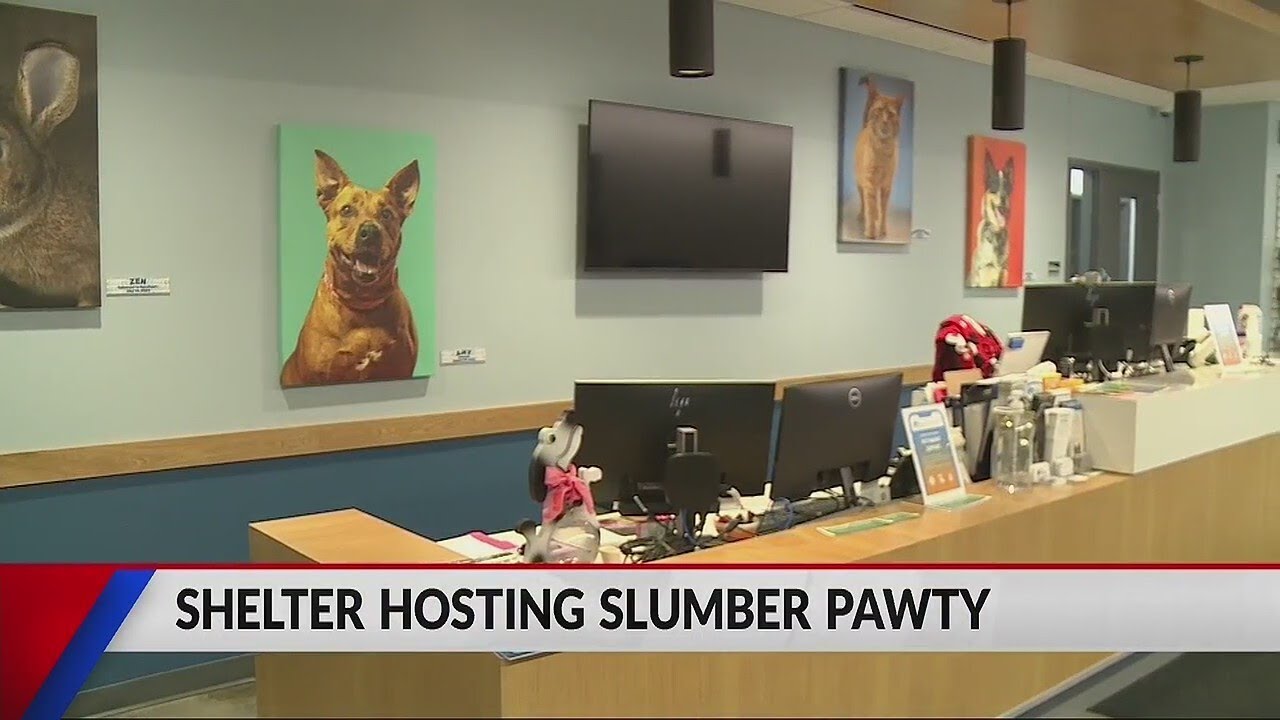 Eau Claire Community Humane Association to host first-ever shelter slumber event