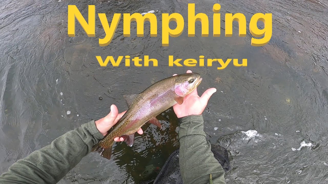 Nymphing Without a Indicator - Fixed Line Keiryu #fishing #nature #outdoors #fish #keiryu #subscribe