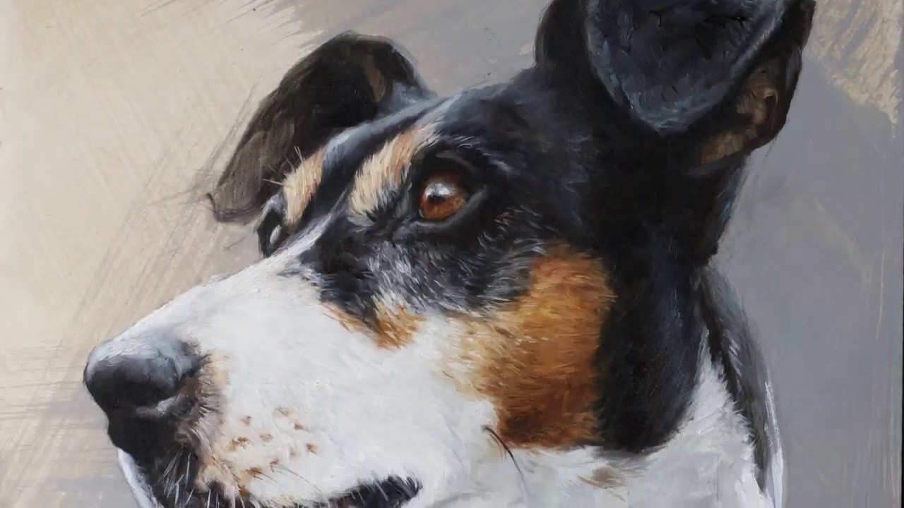 Como pintar una mascota.