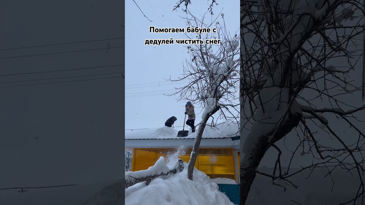 #shortsvideoyoutube#юмор#дорога#дети#зима