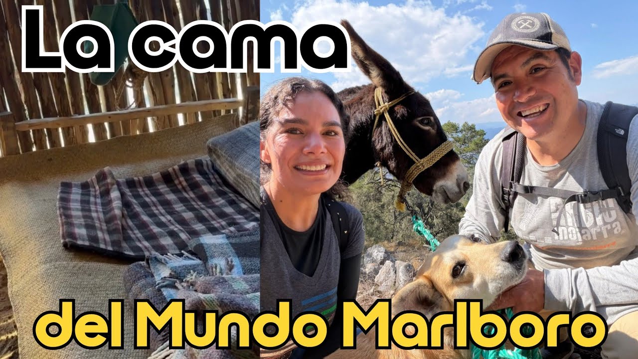 😆🛏️ ¡RADIOMOJARRA FELIZ! GRIS LLEGARÁ A ESTRENAR CAMA EN EL MUNDO MARLBORO 😱🎉#Radiomojarra 