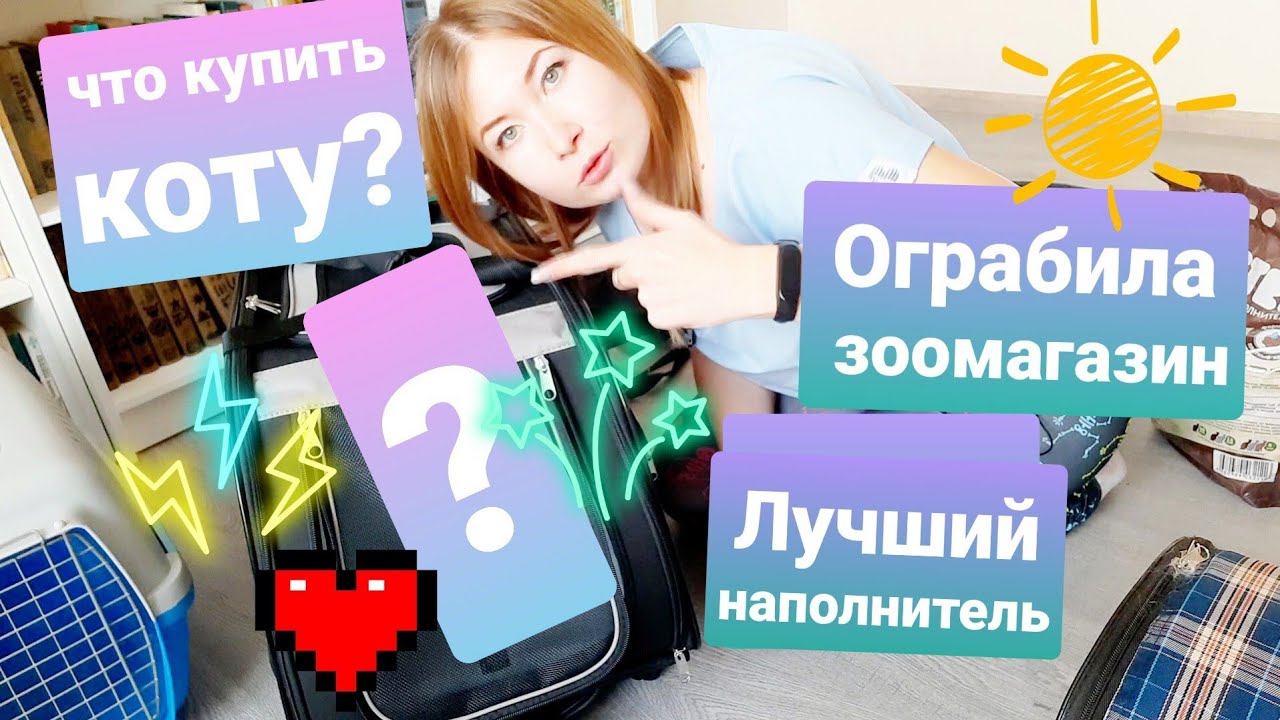Необходимые покупки для кошек. Тест на Лучший наполнитель