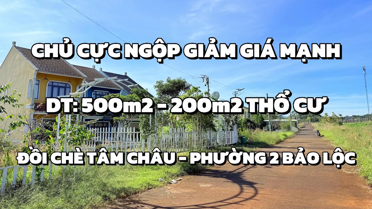 (ĐÃ BÁN) VỊ TRÍ RẤT ĐẸP ĐÁNG ĐỂ ĐẦU TƯ NGHỈ DƯỠNG CHỦ ĐANG NGỘP GIẢM CỰC MẠNH NGAY ĐỒI CHÈ TÂM CHÂU