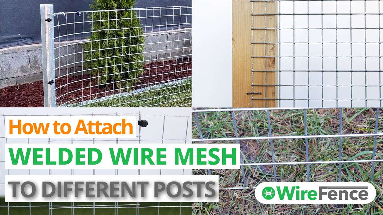 How to Attach Welded Wire Mesh to Posts and Different Materials (EASY METHOD) | WireFence