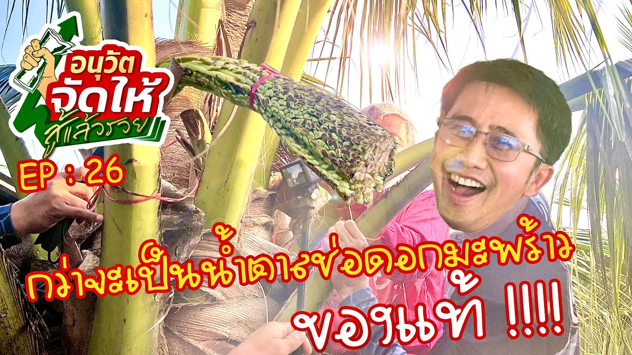 อนุวัต จัดให้ สู้แล้วรวย EP: 26 กว่าจะเป็นน้ำตาลช่อดอกมะพร้าว