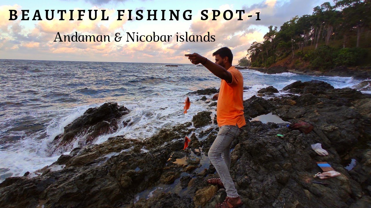 Fishing | most beautiful fishing spot | andaman and nicobar island / traditional fishing video