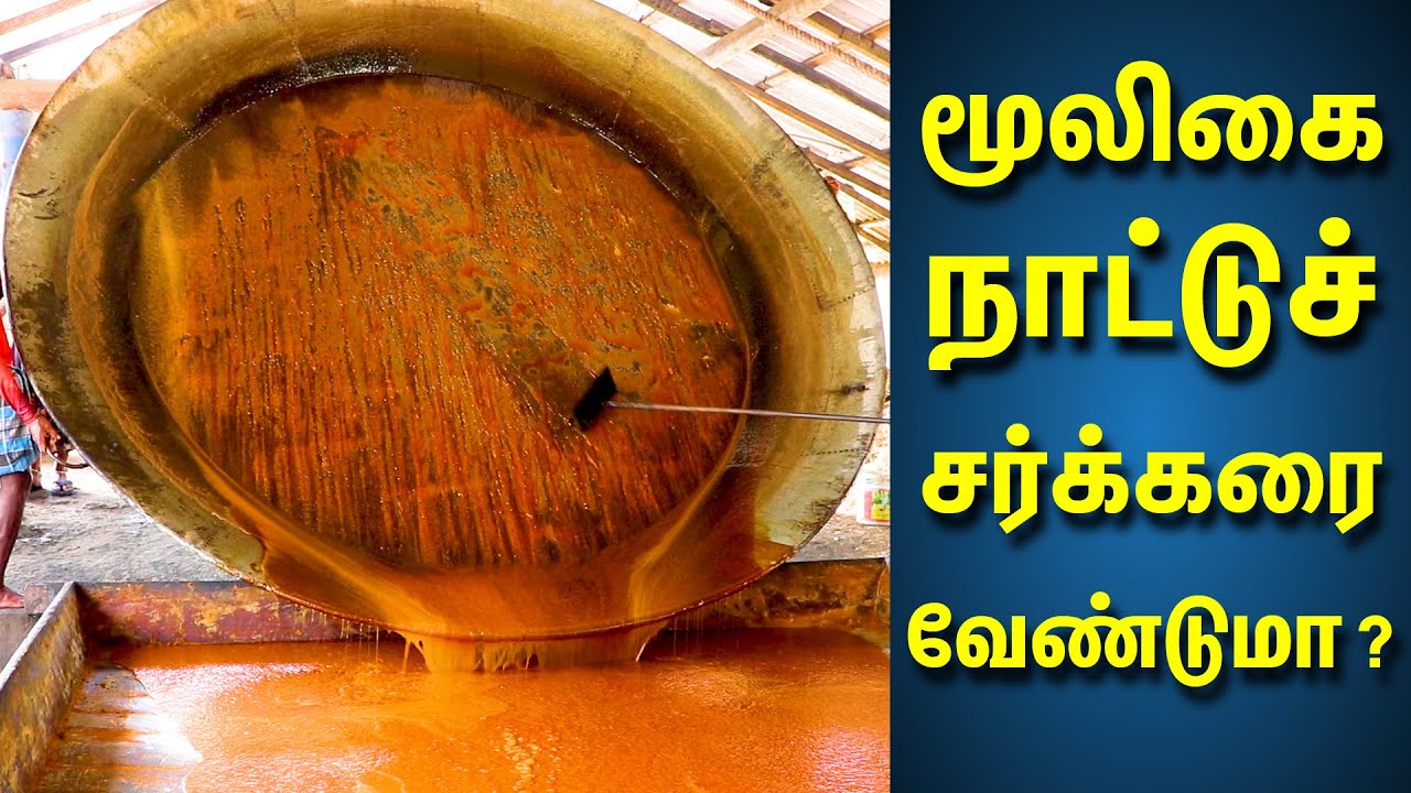 மூலிகை நாட்டுச் சர்க்கரை வேண்டுமா ?| ரசாயணம் கலவாத நாட்டுச்சர்க்கரை உற்பத்தி தொழில் |நாட்டு சர்க்கரை