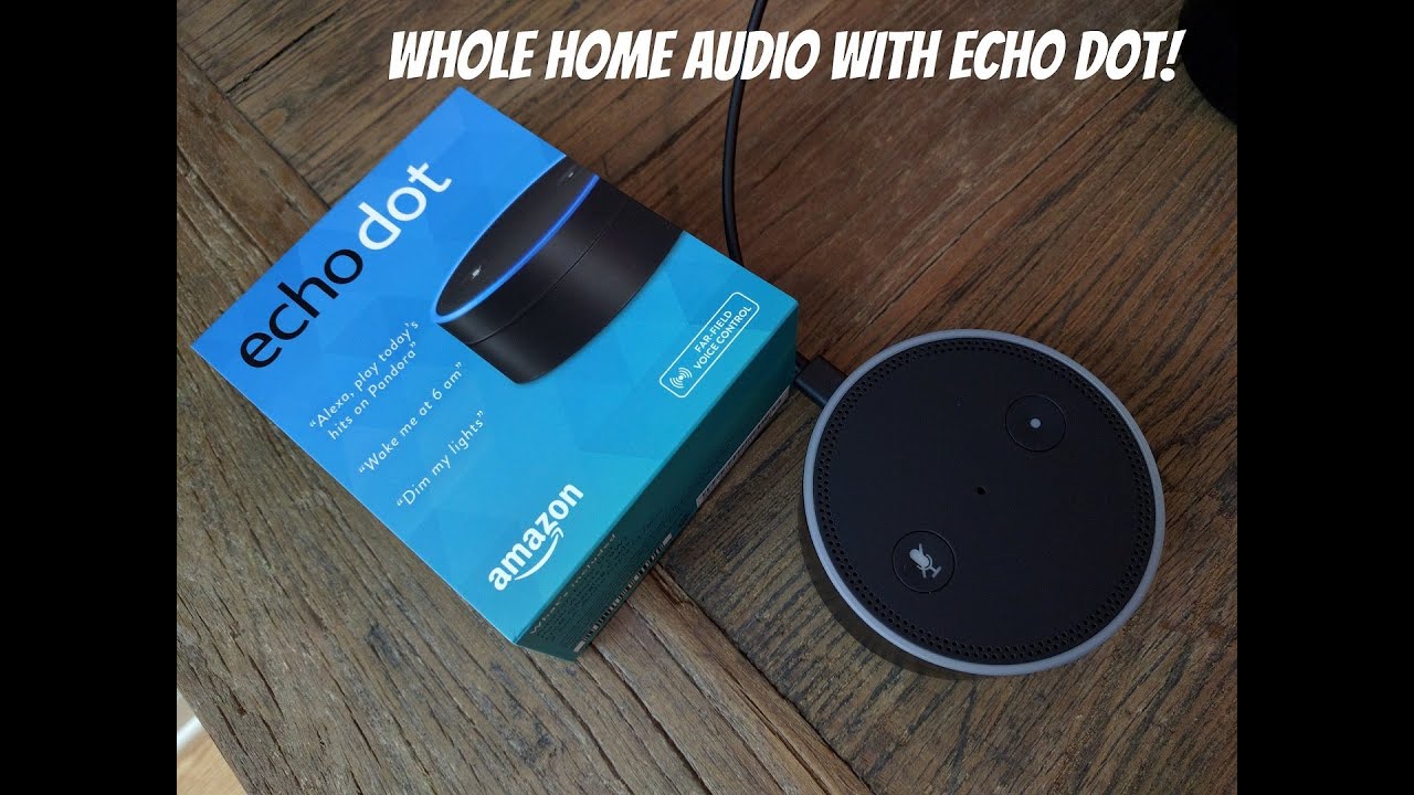 Amazon Echo Dot hooked up to whole home audio