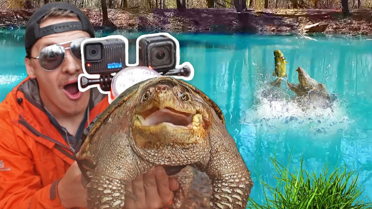 We Put a GoPro on a Snapping Turtle!