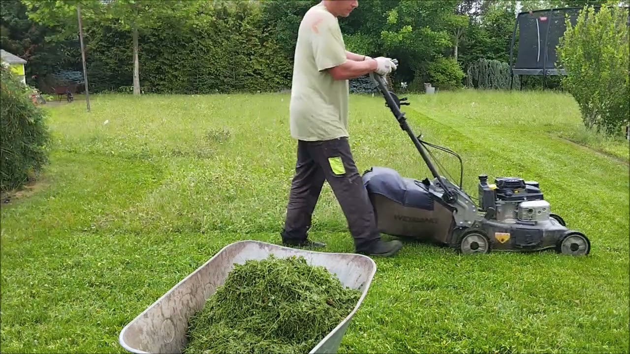 vertikutace trávníku
