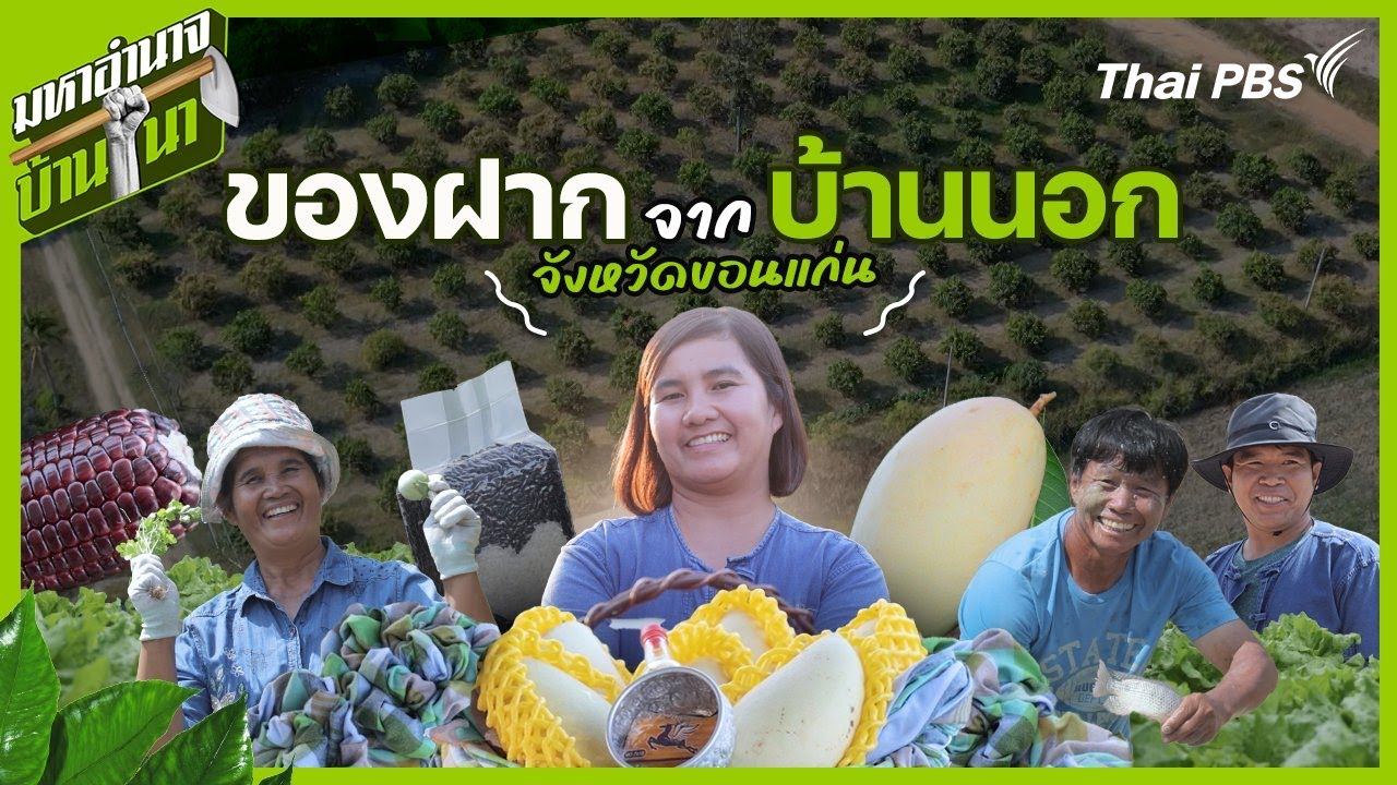 ของฝากจากบ้านนอก | มหาอำนาจบ้านนา