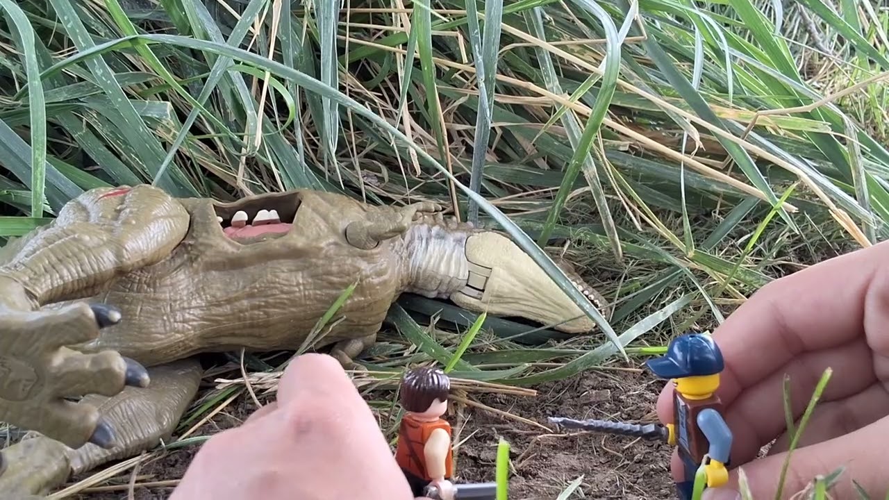Help were trapped on a island