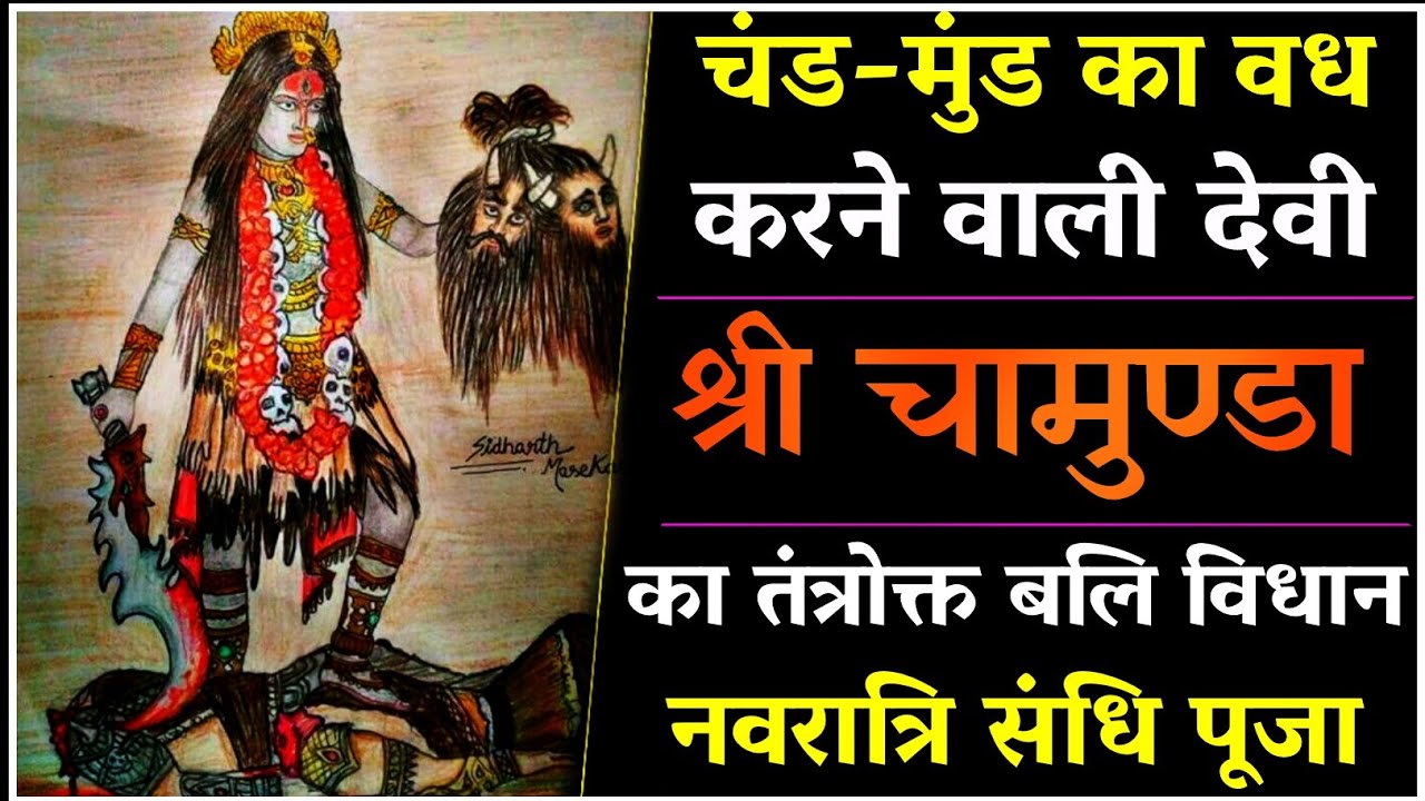 चामुंडा तंत्रोक्त बलि पूजन विधान।संधि पूजा।#navratri2025 #durgapuja2025  #sandhipuja