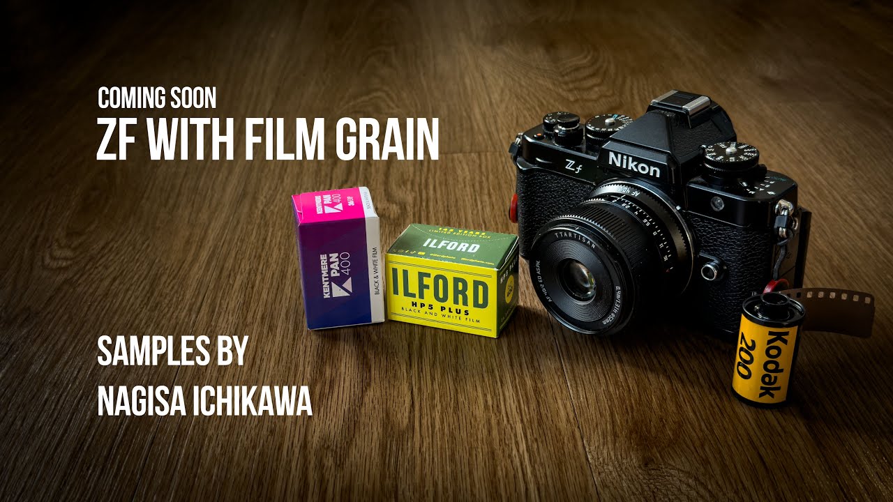Зерно пленки Nikon Zf + Переключатель Ч/Б = Моя команда мечты для Zf!