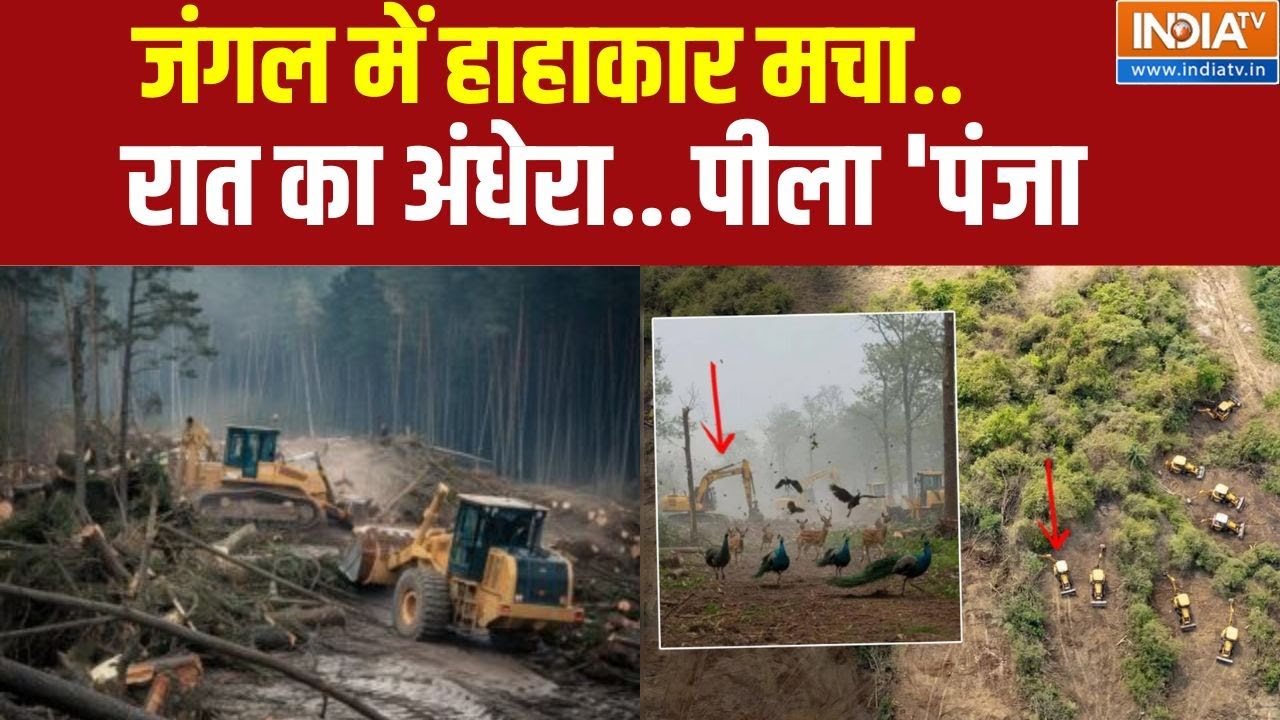 Hyderabad 400Acre Jungle Vanished: जंगल में हाहाकार मचा..रात का अंधेरा...पीला 'पंजा' Revanth Reddy