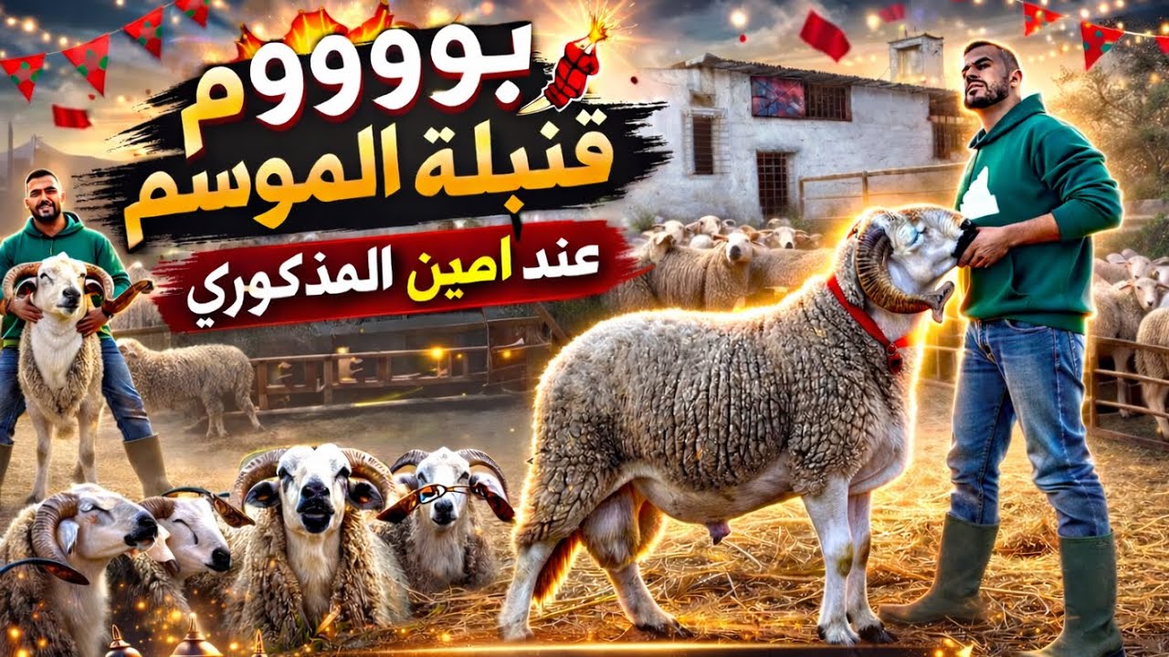 الجزء الثاني : مشهد خرافي! الحوالا الملاح مع أمين المذكوري 🔥🔥