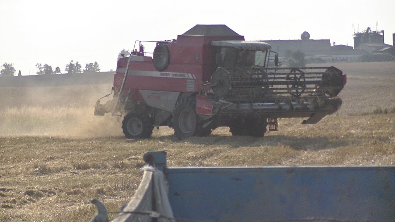 Žně 2020 / Zetor Crystal 16145 / Zetor Crystal 16045 / Massey ferguson 7245 / JLG 4017 rs