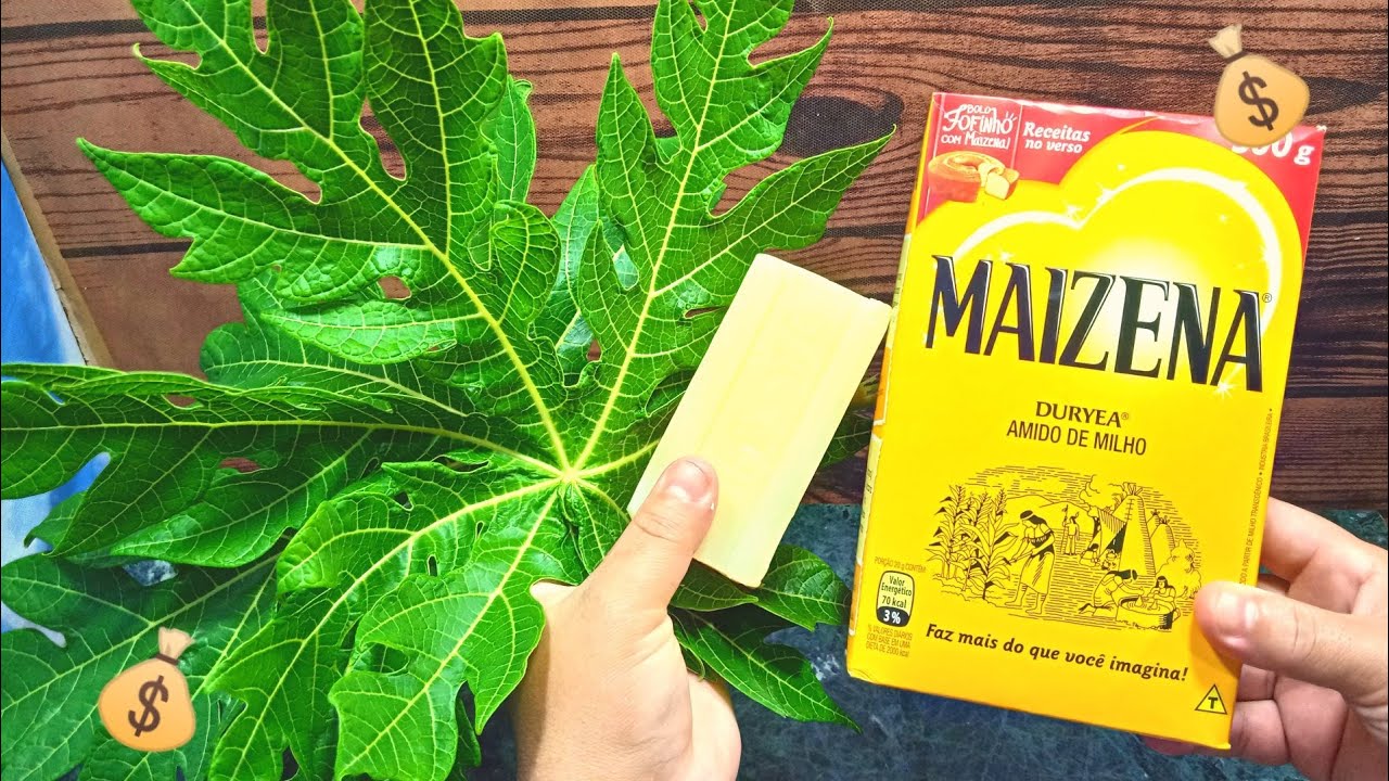 💰💰AS MULHERADAS ESTÃO ENLOUQUECIDAS ! TEM FOLHAS DE MAMÃO SABÃO E AMIDO AI ?? RECEITAS DA BO