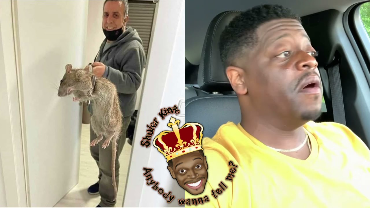 Shuler King - The Rat Can Have The Whole House