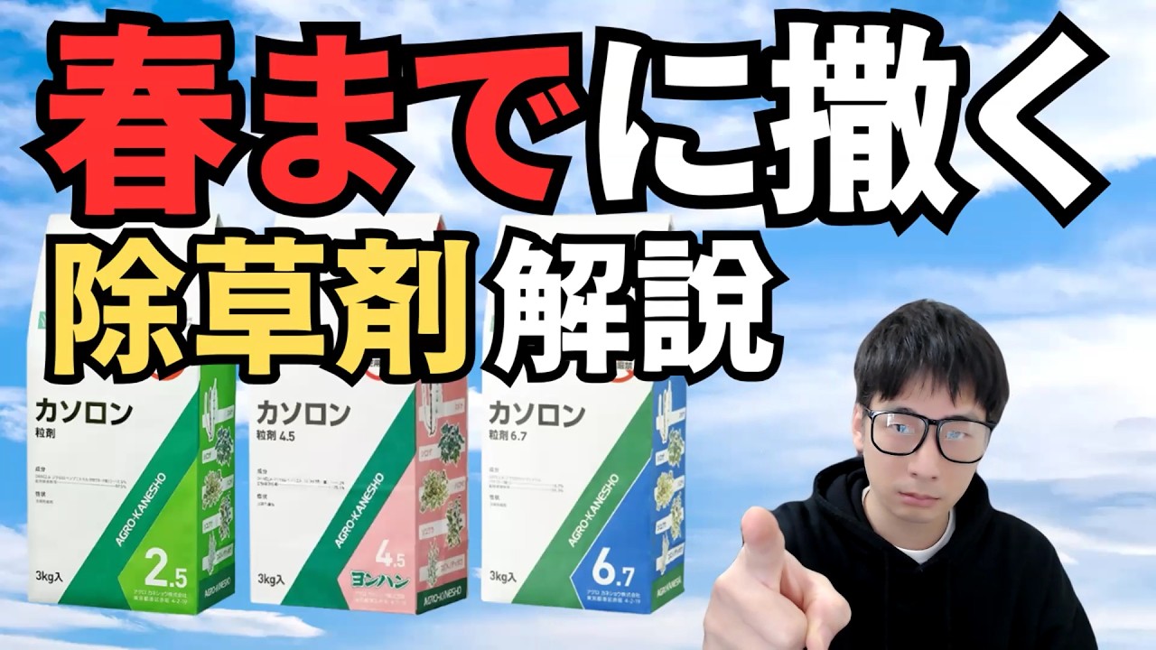 毎年雑草に悩んでいる方へ生えてこない除草剤カソロンを紹介（DBN除草剤