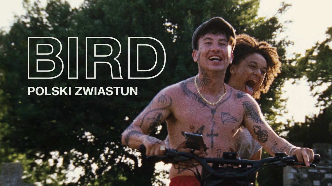 Bird (2024), oficjalny zwiastun PL, już na VOD