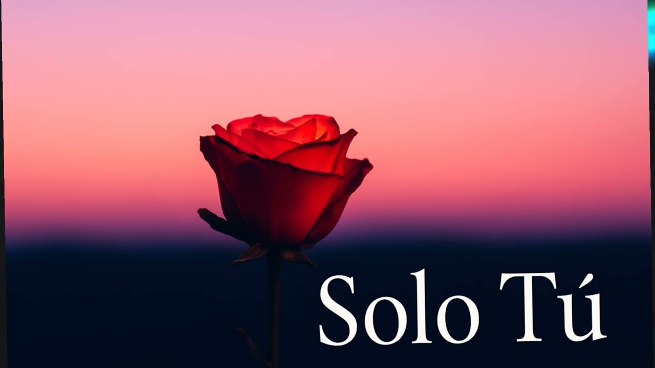🌹 Solo Tú – La Historia de un Amor Verdadero 🌹