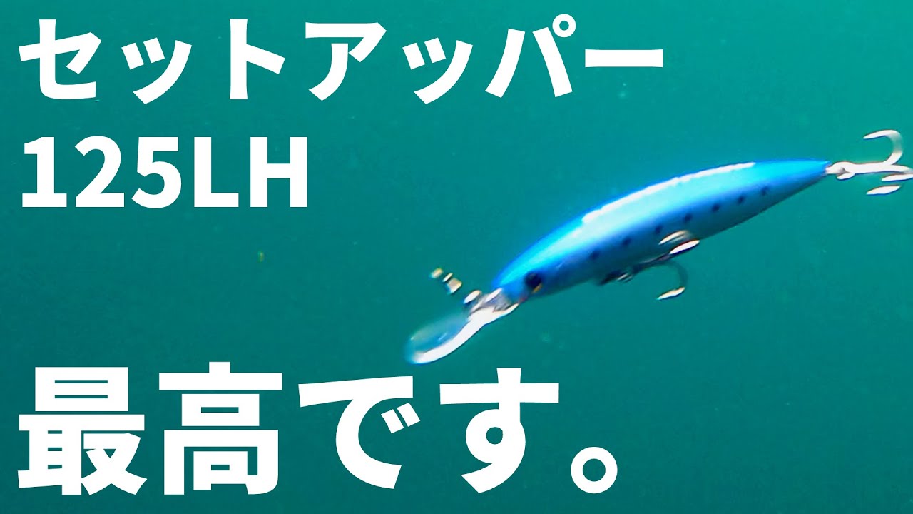 青物爆釣ミノーが更に強靭になって新発売されたので、アクションを見てきたらヤバすぎました。