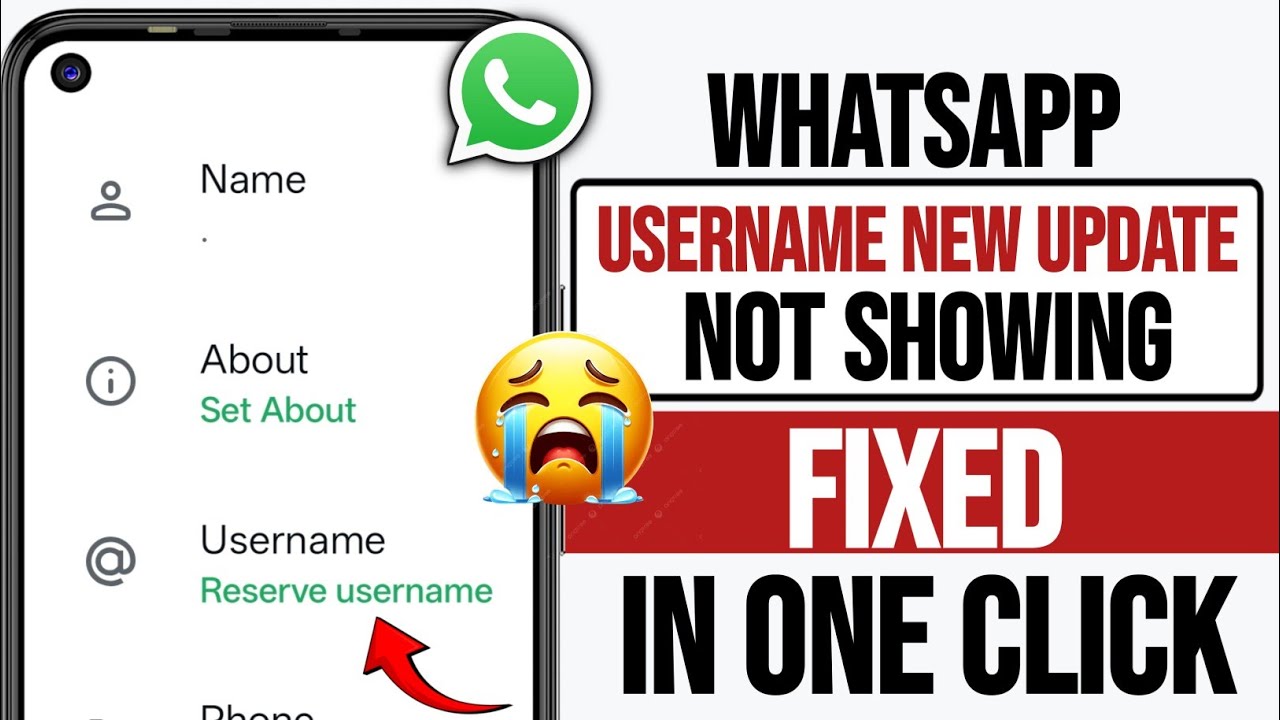 WhatsApp Username Option Not Showing | WhatsApp Reserve Username New Update Not Showing Problem 