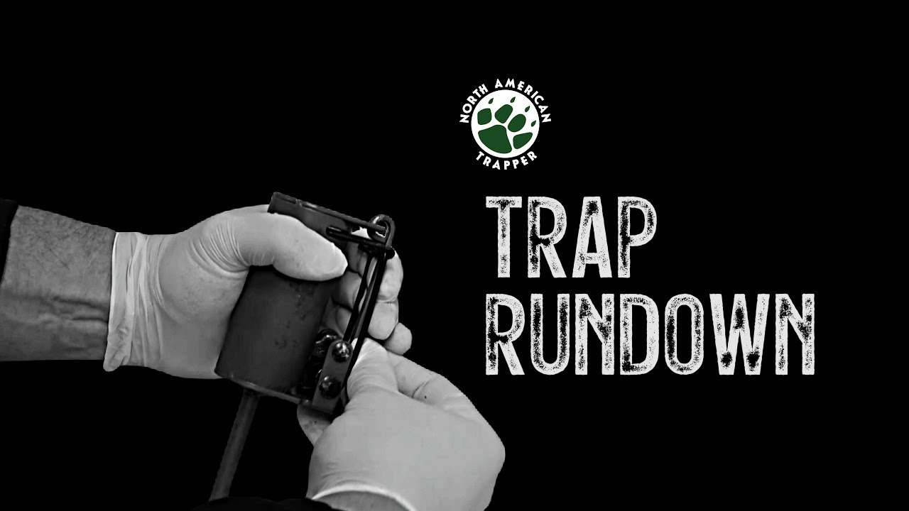 TRAP RUNDOWN ~ #3 Beginner Trapping Series ~